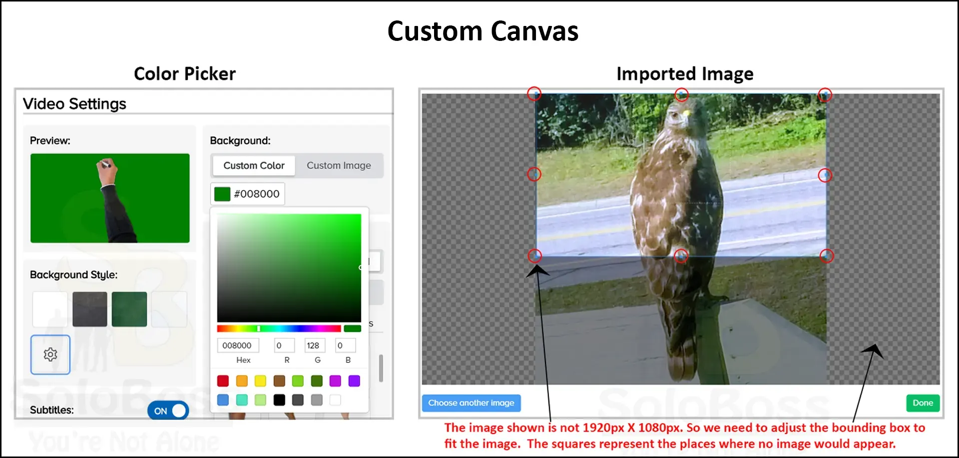 Shows image controls about using the custom canvas in Doodly.